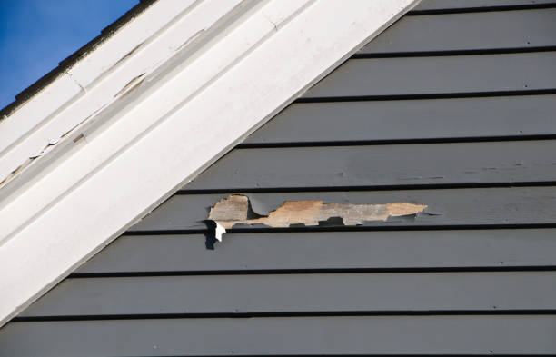 Best Same-Day Junk Removal Services  in Pearl Beach, MI